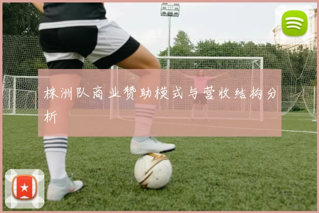 株洲队商业赞助模式与营收结构分析