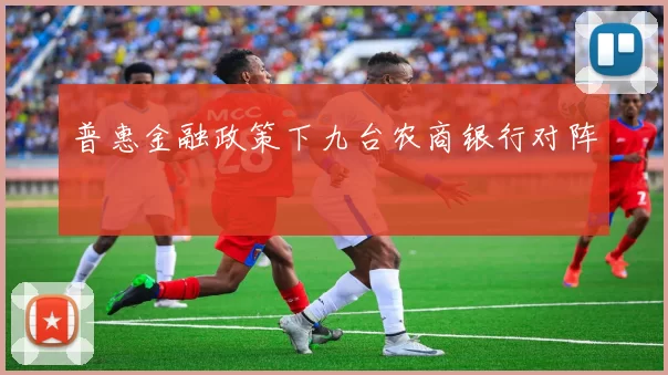 普惠金融政策下九台农商银行对阵