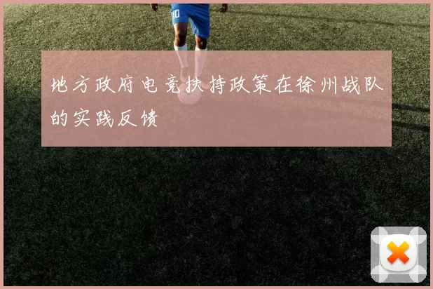 地方政府电竞扶持政策在徐州战队的实践反馈