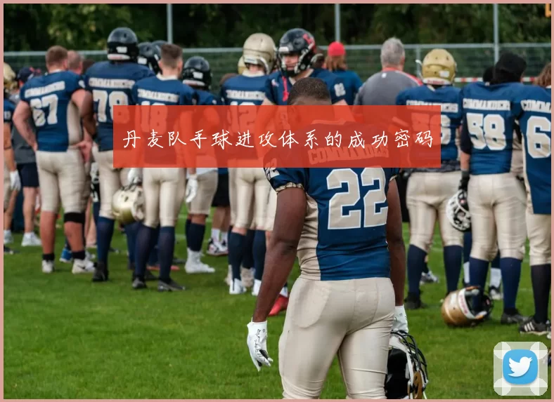 丹麦队手球进攻体系的成功密码