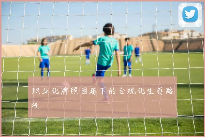 职业化牌照困局下的合规化生存路径